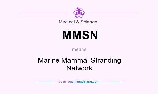 What does MMSN mean? It stands for Marine Mammal Stranding Network