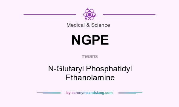 What does NGPE mean? It stands for N-Glutaryl Phosphatidyl Ethanolamine
