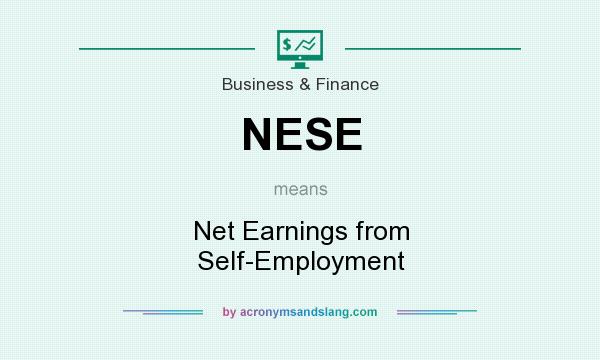 What does NESE mean? It stands for Net Earnings from Self-Employment