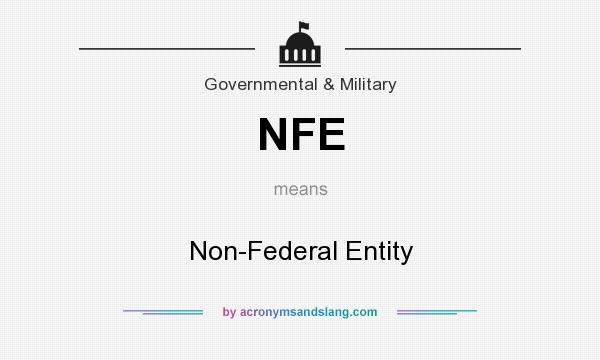 What does NFE mean? It stands for Non-Federal Entity