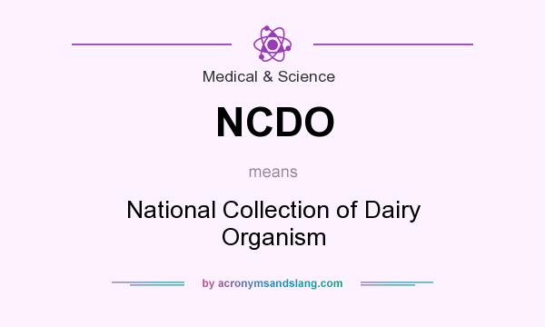 What does NCDO mean? It stands for National Collection of Dairy Organism
