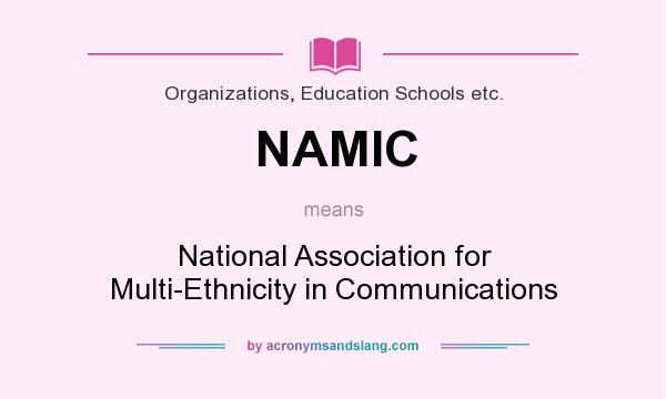 What does NAMIC mean? It stands for National Association for Multi-Ethnicity in Communications