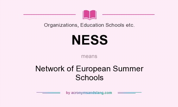 What does NESS mean? It stands for Network of European Summer Schools