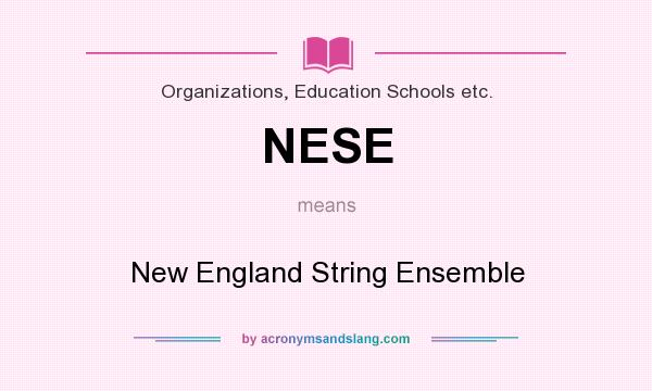 What does NESE mean? It stands for New England String Ensemble