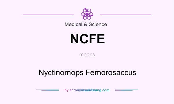 What does NCFE mean? It stands for Nyctinomops Femorosaccus