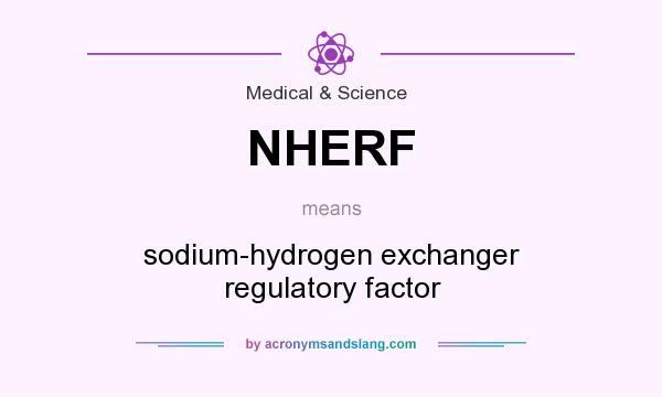 What does NHERF mean? It stands for sodium-hydrogen exchanger regulatory factor