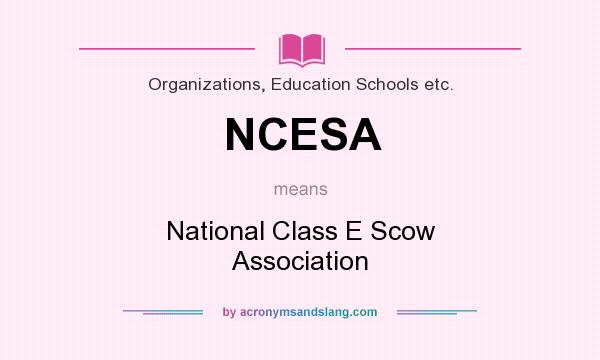 What does NCESA mean? It stands for National Class E Scow Association