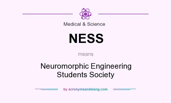 What does NESS mean? It stands for Neuromorphic Engineering Students Society