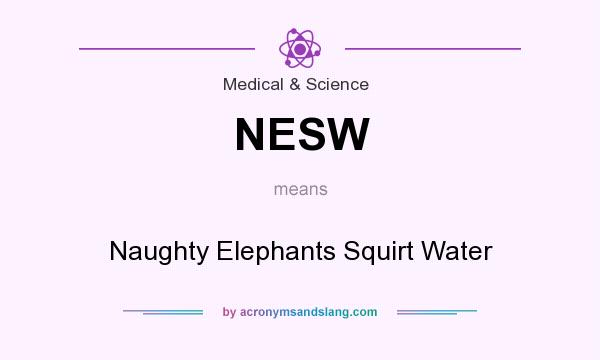 What does NESW mean? It stands for Naughty Elephants Squirt Water