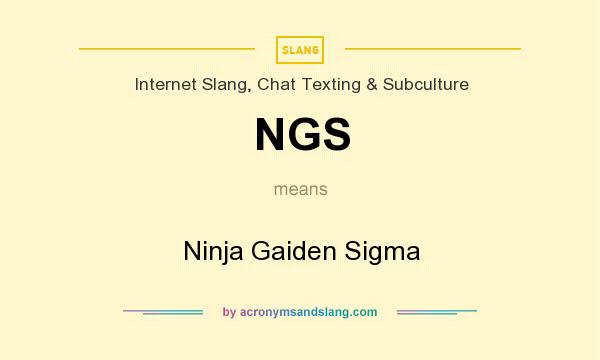 What does NGS mean? It stands for Ninja Gaiden Sigma