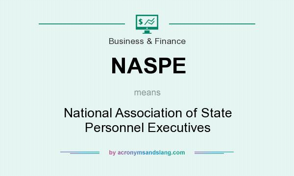 What does NASPE mean? It stands for National Association of State Personnel Executives