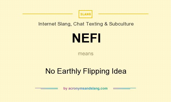 What does NEFI mean? It stands for No Earthly Flipping Idea