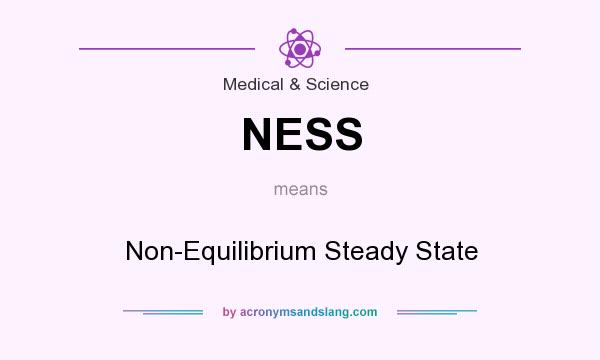 What does NESS mean? It stands for Non-Equilibrium Steady State