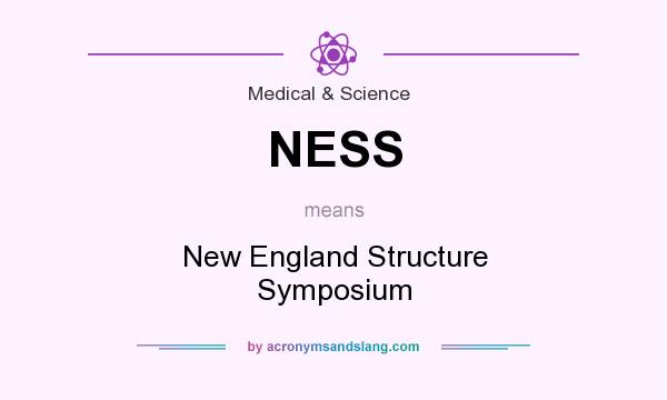 What does NESS mean? It stands for New England Structure Symposium