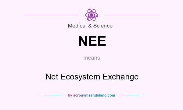 What does NEE mean? It stands for Net Ecosystem Exchange