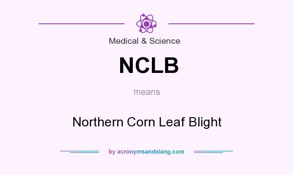 What does NCLB mean? It stands for Northern Corn Leaf Blight