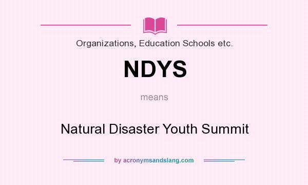What does NDYS mean? It stands for Natural Disaster Youth Summit