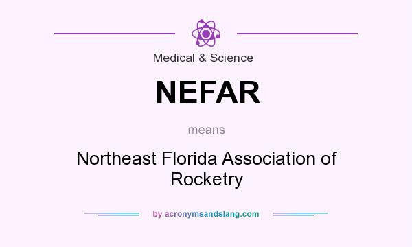 What does NEFAR mean? It stands for Northeast Florida Association of Rocketry