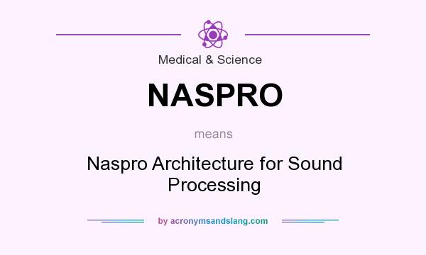 What does NASPRO mean? It stands for Naspro Architecture for Sound Processing