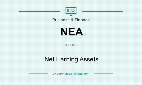 What does NEA mean? It stands for Net Earning Assets