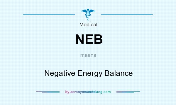 What does NEB mean? It stands for Negative Energy Balance