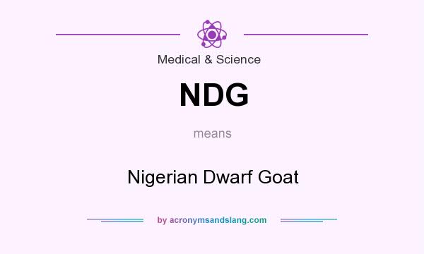 What does NDG mean? It stands for Nigerian Dwarf Goat