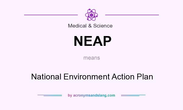 What does NEAP mean? It stands for National Environment Action Plan