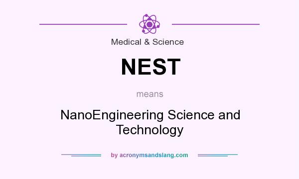 What does NEST mean? It stands for NanoEngineering Science and Technology