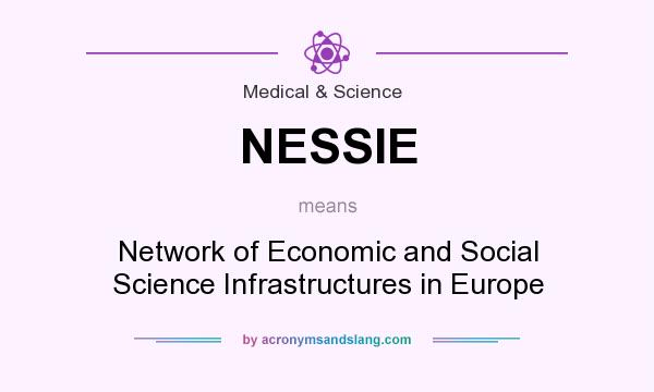 What does NESSIE mean? It stands for Network of Economic and Social Science Infrastructures in Europe