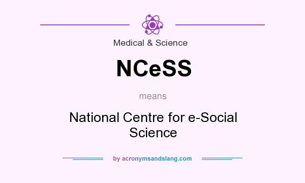 What does NCeSS mean? It stands for National Centre for e-Social Science
