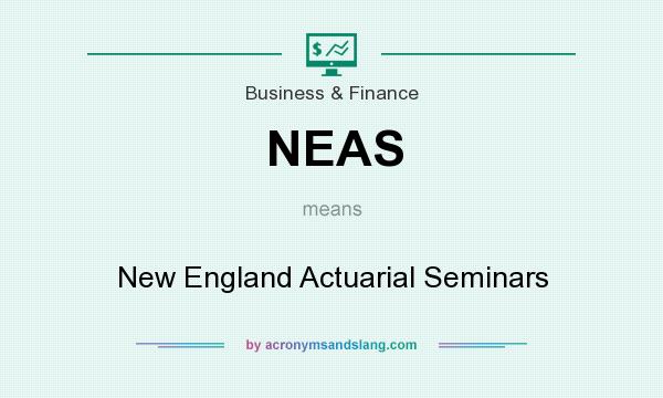 What does NEAS mean? It stands for New England Actuarial Seminars