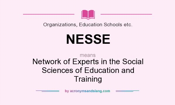 What does NESSE mean? It stands for Network of Experts in the Social Sciences of Education and Training