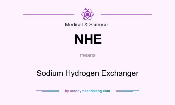 What does NHE mean? It stands for Sodium Hydrogen Exchanger