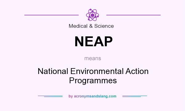 What does NEAP mean? It stands for National Environmental Action Programmes