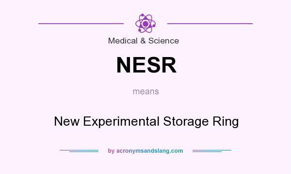 What does NESR mean? It stands for New Experimental Storage Ring