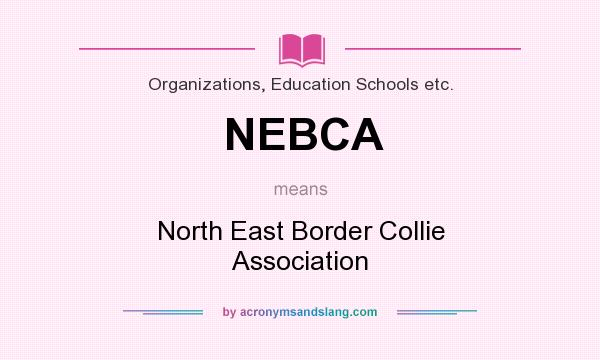 What does NEBCA mean? It stands for North East Border Collie Association