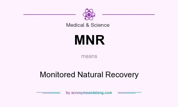 What does MNR mean? It stands for Monitored Natural Recovery