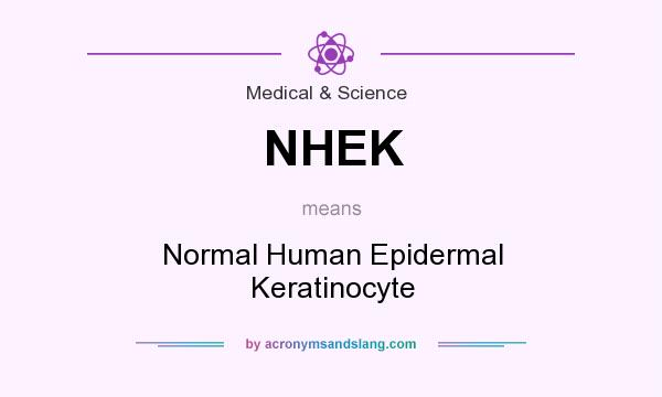 What does NHEK mean? It stands for Normal Human Epidermal Keratinocyte