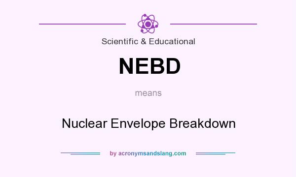 What does NEBD mean? It stands for Nuclear Envelope Breakdown