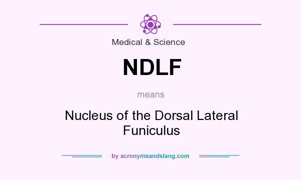What does NDLF mean? It stands for Nucleus of the Dorsal Lateral Funiculus