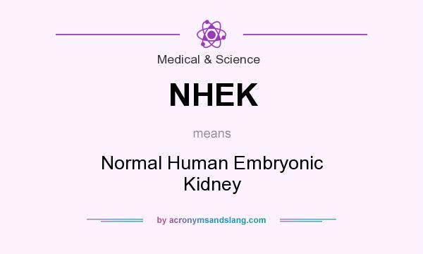 What does NHEK mean? It stands for Normal Human Embryonic Kidney