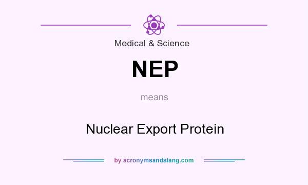 What does NEP mean? It stands for Nuclear Export Protein