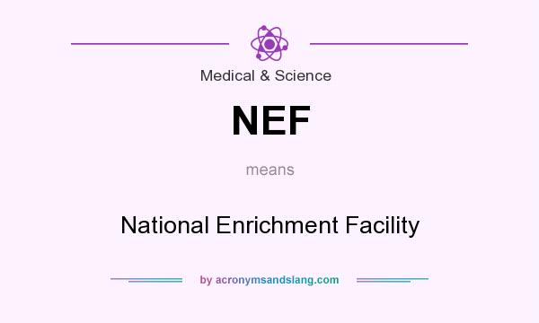 What does NEF mean? It stands for National Enrichment Facility