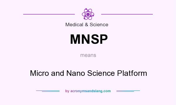 What does MNSP mean? It stands for Micro and Nano Science Platform
