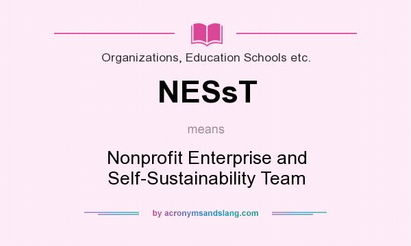 What does NESsT mean? It stands for Nonprofit Enterprise and Self-Sustainability Team