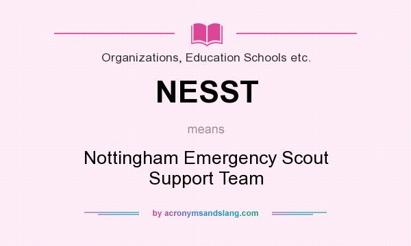 What does NESST mean? It stands for Nottingham Emergency Scout Support Team
