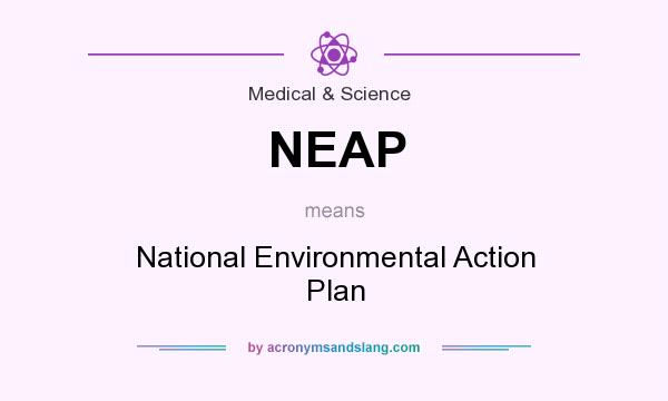 What does NEAP mean? It stands for National Environmental Action Plan