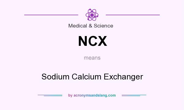 What does NCX mean? It stands for Sodium Calcium Exchanger