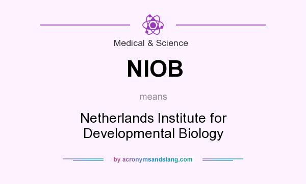What does NIOB mean? It stands for Netherlands Institute for Developmental Biology