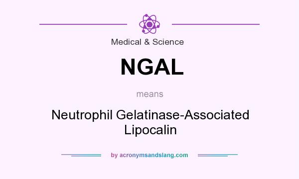 What does NGAL mean? It stands for Neutrophil Gelatinase-Associated Lipocalin